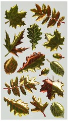 Fall Leaves Sticko Dimensional Stickers EKSuccess 15 Pieces