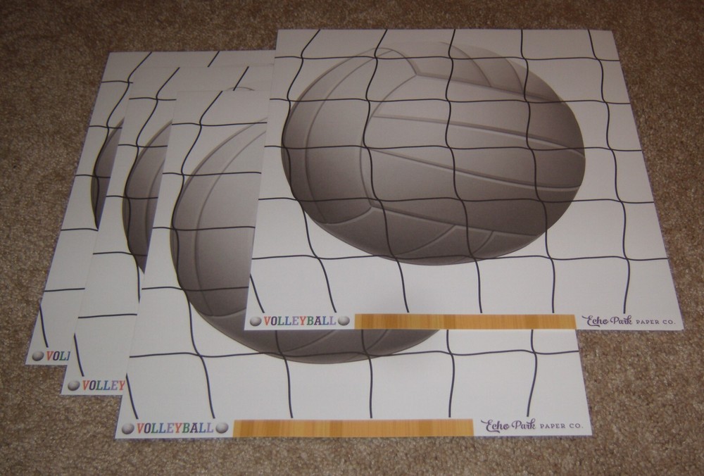 Echo Park 12×12 Double Sided Scrapbook Papers (4) ~ Sports Volleyball Court Net