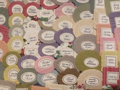 Anna Griffin Everyday Cartouche Embossed Sentiments st of 80 NEW