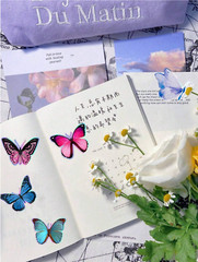 Butterfly Colorful Metallic Stickers Blue Green Red Realistic