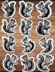Squirrel Die Cut Vinyl Stickers Set Scrapbooking Laptop Waterbottle