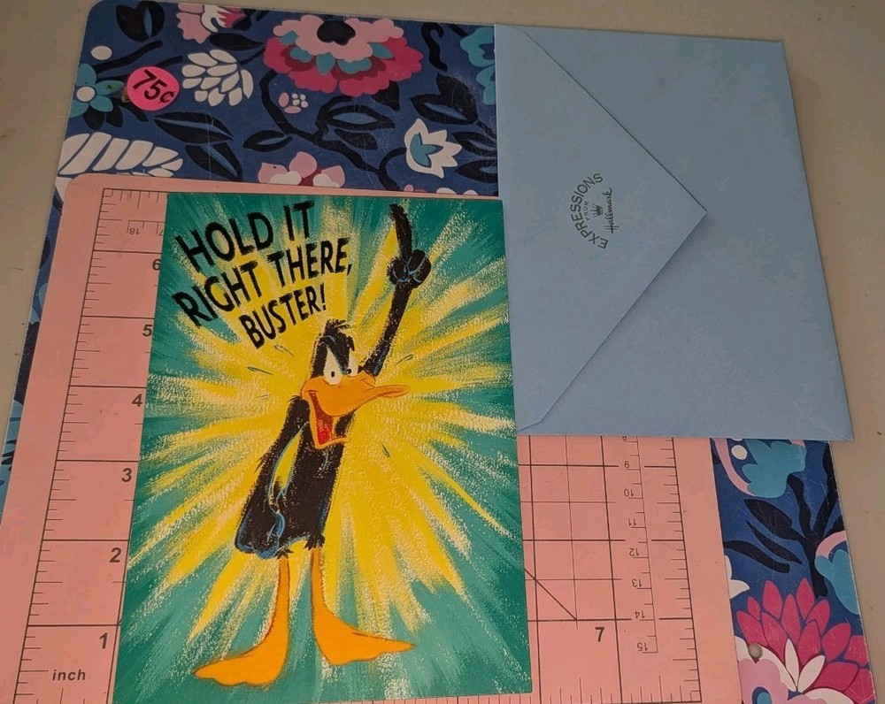 Vintage Hallmark Looney Tunes Daffy Duck Greeting Card Birthday w/ Envelope