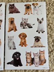 20Pcs Meme Dog Cat Stickers Funny Cat Teens Kids Laptop Google Eyes