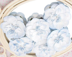 FAIRY FLOSS – SOFT BLUE 6 Pack – 55cm Across Manor House ConA