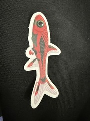 Nano Fish Stickers – Galaxy Rasbora – Chili Rasbora – White Cloud Minnow