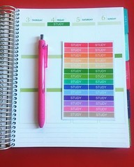 28 Study Planner Stickers for Various Types of Planners (#175)