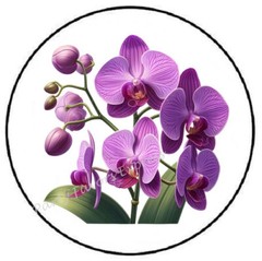 ORCHID ENVELOPE SEALS LABELS STICKERS PARTY FAVORS
