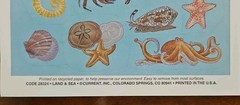 Vintage Current Catalog Land & Sea sticker sheet, fish and shells stickers