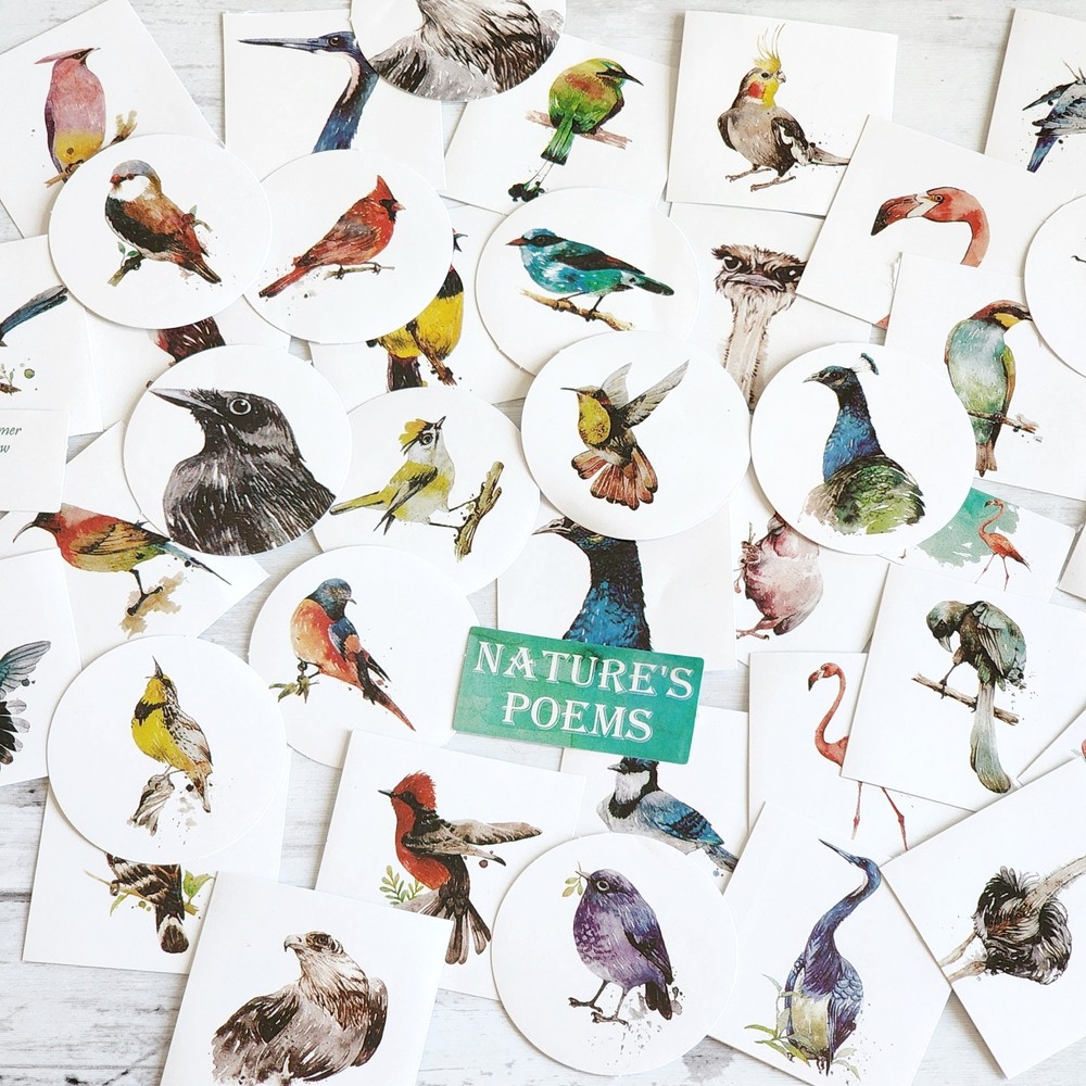 45PCS Cute Bird Stickers – Kawaii Craft Scrapbooking Planner Diary Stickers