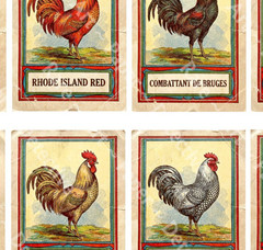 Rooster Illustrations, Antique Fancy Chicken Drawing Stickers, CUT & PEEL SHEET