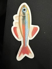 Nano Fish Stickers – Galaxy Rasbora – Chili Rasbora – White Cloud Minnow