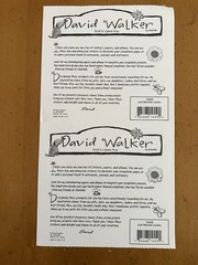 David Walker WEDDING Stickers Modern Slogans “Just Married” Rings, Bouquet