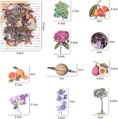 Nature Themed Transparent Pre-Cut Stickers for Scrapbooking, Pack Multicolor