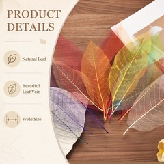 100 Pcs Skeleton Leaves for Scrapbook, 3.3-3.9 Inch, Sky Blue