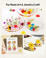 Blossom Pressed Dried Resin Flowers 100Pcs Natural Real Dried Flower Craft