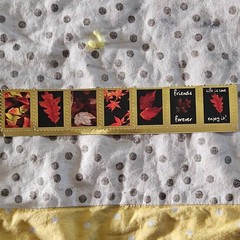 Autumn Leaves Scrapbooking Stickers, Gold Border Red Black Orange Yellow Phrases