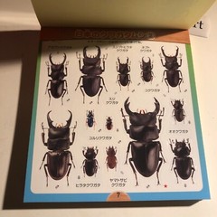 Beetle and Stag Beetle Japanese Stickers book 275 Stickers Shogakkan Neo