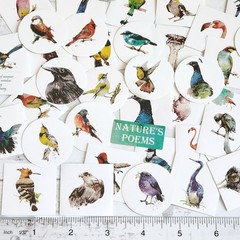 45PCS Cute Bird Stickers – Kawaii Craft Scrapbooking Planner Diary Stickers
