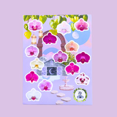 Phalaenopsis Orchid Sticker Sheet Rare Cute Flowers Vinyl Decals for Journal