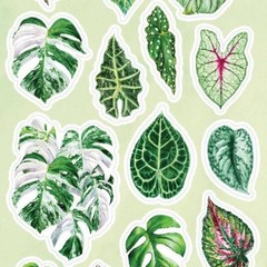 Stickii – Monstera Leaf Stickers – Plant Leaves Sticker Sheet – Crafts Planners