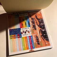 Beetle and Stag Beetle Japanese Stickers book 275 Stickers Shogakkan Neo