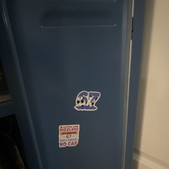 Custom/homemade 67 magnets. perfect accessories for car, locker, room decor etc