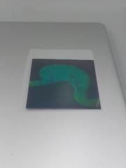 VTG Polaroid 3-D 90’s Holograms Prototypes – Dissected Human Stomach 3×3″