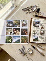 540 Pre-Cut Scenery Journaling Stickers, 6 Pcs Complete Set Washi Sticker Books