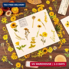 320Pcs Flower Stickers, Cute Vintage Floral Sticker for Kids, Clear Wildflower S