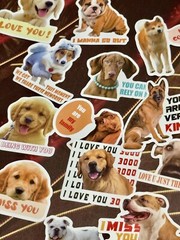 50 Pieces Bundle Pack Dog Theme Stickers Decal High Glossy Finish