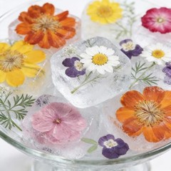 48 Pcs Natural Dried Pressed Flowers for Resin Jewelry, Crafts & Decor, Multicol