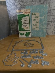 2) Simply Defined Metal dies and stamps: Rainbow, Gate, Window and Ferny frames