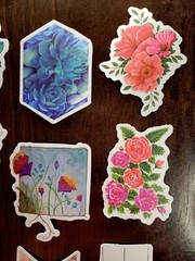STICKERS x 10 Plants Flowers Tree Orchid Succulents Grow Rose Poppy PL4