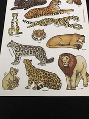 RARE Vintage 1980’s Hallmark African Safari Animal Sticker Sheet Wild Cats