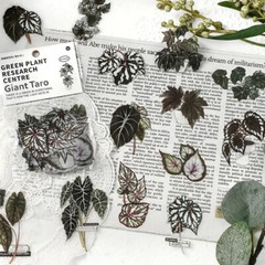 Kawaii Plant Stickers Plant Research Centre 30 Pieces per packet (Giant Taro)