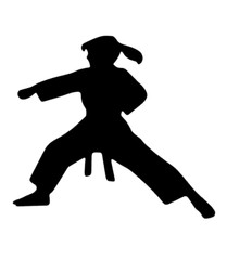 KID, CHILDREN, YOUNG ADULT, MARTIAL ARTS «KARATE KIDS!» SILHOUETTE DIE CUT/ CUTS
