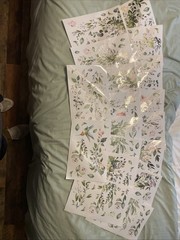 Eucalyptus Window Stickers 18 Sheets