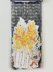 Vicki Boutin Nature Mixed Media Ephemera Pack 280pc Stickers/Cardstock/Acetate