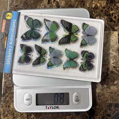 BUTTERFLIES Butterfly Bright Medium Green Black Silver Jot Stickers