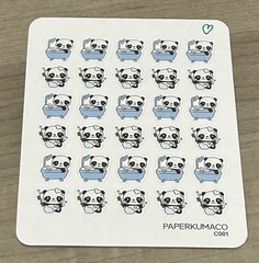 NEW Paper Kuma Co Panda Bath Time 🐼 Sticker Sheet PaperKumaCo Stickers