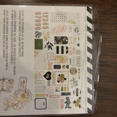 Assorted Scrapbooking Ephemera/Embellishments Washi Tape Webster’s Pages, L Holt