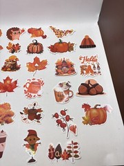 Assorted Fall Themed Stickers 28 Colorful NEW Fall Stickers