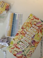 Cocoa Daisy Planner Scrapbook Accessories As Pictured Used