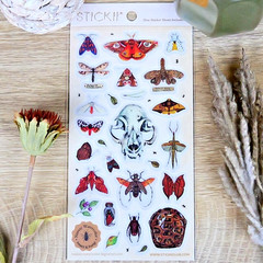 Nature Study Stickers – Animal Skull, Moths, & Insects Sticker Sheet