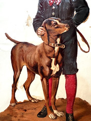 Stunning Large Die Cut on 1800’s -1900’s Scrapbook Page of Boy w/Dog *