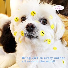 Happy Face Circle Dot Reward Stickers, 500 Labels, 1.5 Inch Yellow