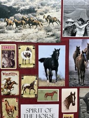 HORSES Curated playing cards & book pages kit Some Vintage 45 Pieces – original