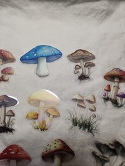 Mushroom Assorted Lot Of Ephemera For Junk Journaling Or Paper Crafting