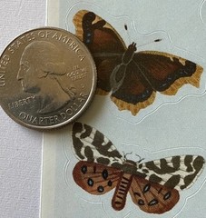 NATURAL BUTTERFLIES Stickers (14pc)Earth tone•Bugs•Wings•Flying •Card Making•