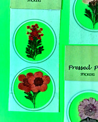 Pressed Petals Real Flowers Sticker Pack Lot Of 7